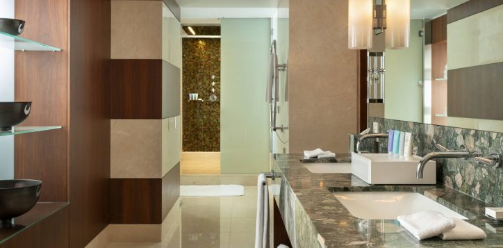 ambassador-suite-bathroom-2